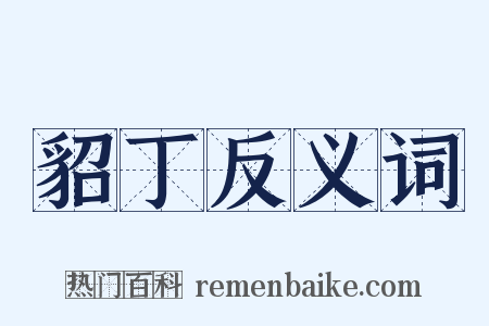 貂丁反义词是什么意思的图片